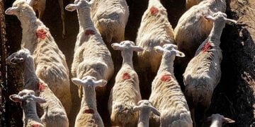 (Φωτ. αρχείου: EUROKINISSI / Αντώνης Νικολόπουλος)