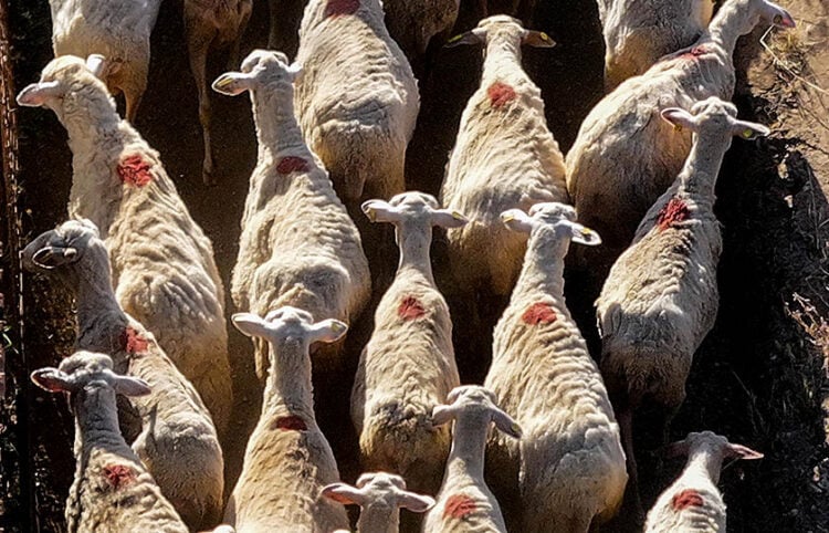 (Φωτ. αρχείου: EUROKINISSI / Αντώνης Νικολόπουλος)