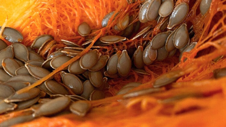 (Φωτ.: pexels.com / Yesim G. Ozdemir)