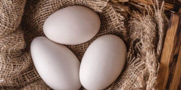 Από την αφίσα της διοργάνωσης