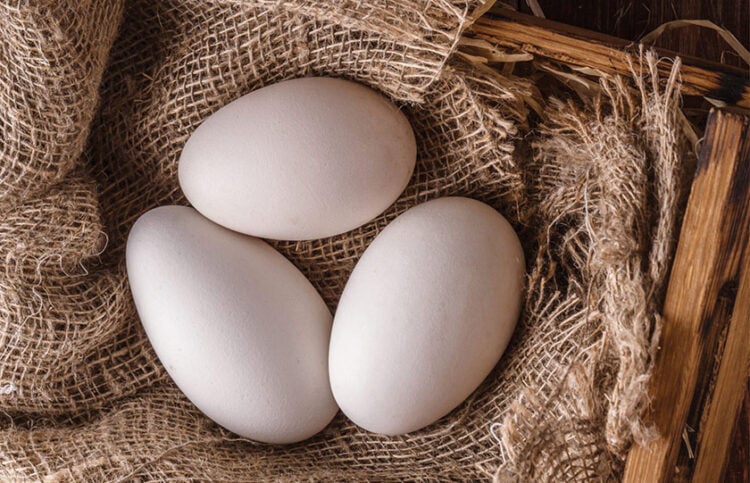 Από την αφίσα της διοργάνωσης