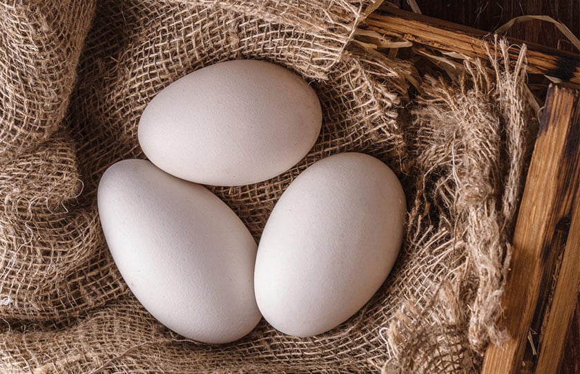 Από την αφίσα της διοργάνωσης