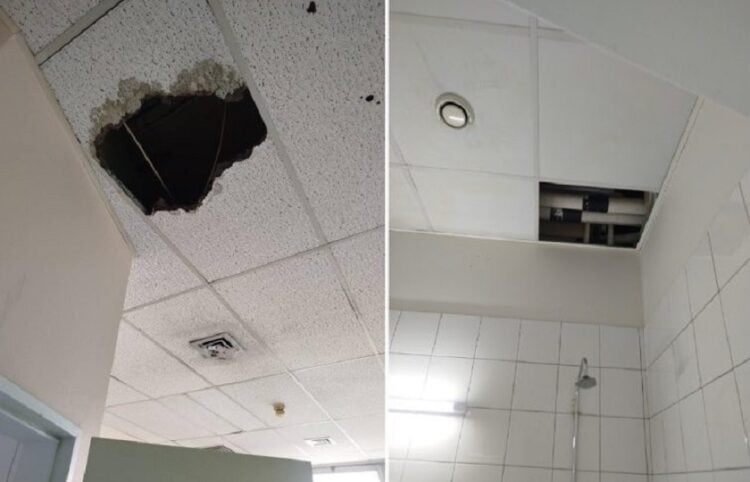 (Φωτ.: ertnews.gr)