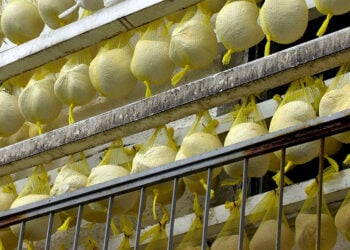 (Φωτ. αρχείου: EUROKINISSI)