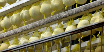 (Φωτ. αρχείου: EUROKINISSI)