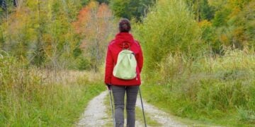 (Φωτ.: pixabay.com/users/silviarita-3142410)