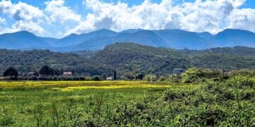 (Φωτ.: Γιώργος Κονταρίνης/EUROKINISSI)