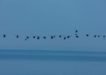 Εικόνα από την επιθετική διακλαδική άσκηση μεγάλης κλίμακος EFES-2026 της Τουρκίας (πηγή: x.com/ tcsavunma)