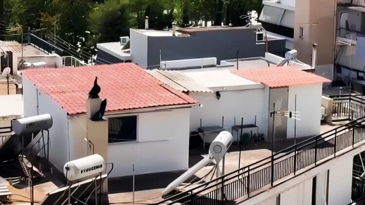 (Πηγή: glomex.com)