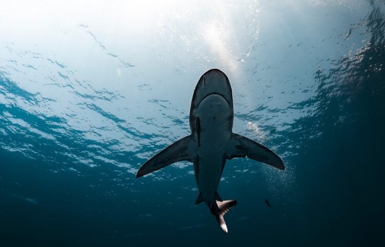 (Φωτ.: pixabay.com)