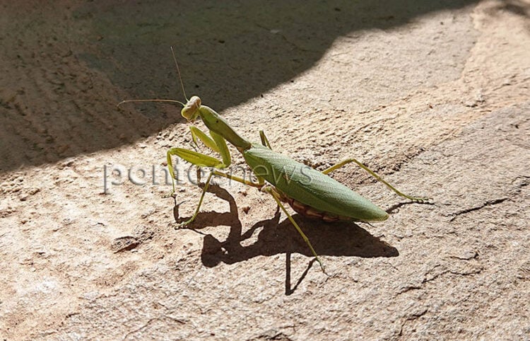 (Φωτ.: Χριστίνα Κωνσταντάκη)