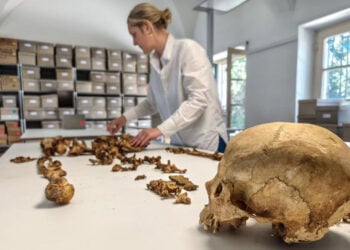 Ερευνήτρια στην Κρατική Συλλογή Ανθρωπολογίας του Μονάχου (SAM) εξετάζει τον σκελετό γυναίκας που έζησε μεταξύ 510 και 560 μ.Χ. και ενταφιάστηκε στο χωριό Άλτχαϊμ της Γερμανίας (φωτ.: SNSB / M. Harbeck)