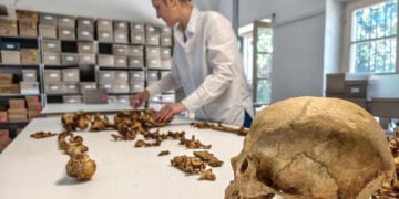 Ερευνήτρια στην Κρατική Συλλογή Ανθρωπολογίας του Μονάχου (SAM) εξετάζει τον σκελετό γυναίκας που έζησε μεταξύ 510 και 560 μ.Χ. και ενταφιάστηκε στο χωριό Άλτχαϊμ της Γερμανίας (φωτ.: SNSB / M. Harbeck)
