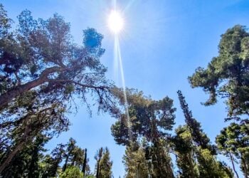 (Φωτ.: Γιώργος Κονταρίνης/ EUROKINISSI)