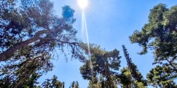 (Φωτ.: Γιώργος Κονταρίνης/ EUROKINISSI)