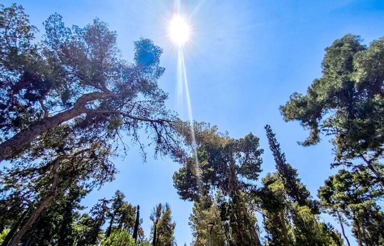 (Φωτ.: Γιώργος Κονταρίνης/ EUROKINISSI)