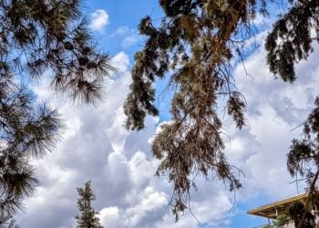 (Φωτ.: Γιώργος Κονταρίνης/ EUROKINISSI)