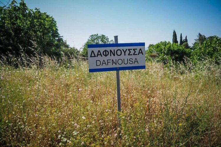 (Φωτ.: Θοδωρής Νικολάου/ EUROKINISSI)