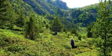Άποψη του χωριού Θέμπεδα και Θέμπερα σήμερα. Το χωριό, πλέον, ονομάζεται Gözeler ενώ παλαιότερα λεγόταν Tembeda (φωτ.: facebook.com/ayeser29/medinaydin)