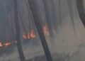 Η φωτιά καίει δασική έκταση στο Δερβένι, Ωραιόκαστρο Θεσσαλονίκης (φωτ.: ΑΠΕ-ΜΠΕ/ Αχιλλέας Χήρας)