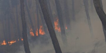 Η φωτιά καίει δασική έκταση στο Δερβένι, Ωραιόκαστρο Θεσσαλονίκης (φωτ.: ΑΠΕ-ΜΠΕ/ Αχιλλέας Χήρας)