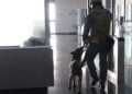 Στιγμιότυπο από άσκηση της Αντιτρομοκρατικής 
(φωτ.: EUROKINISSI / Γιάννης Παναγόπουλος)