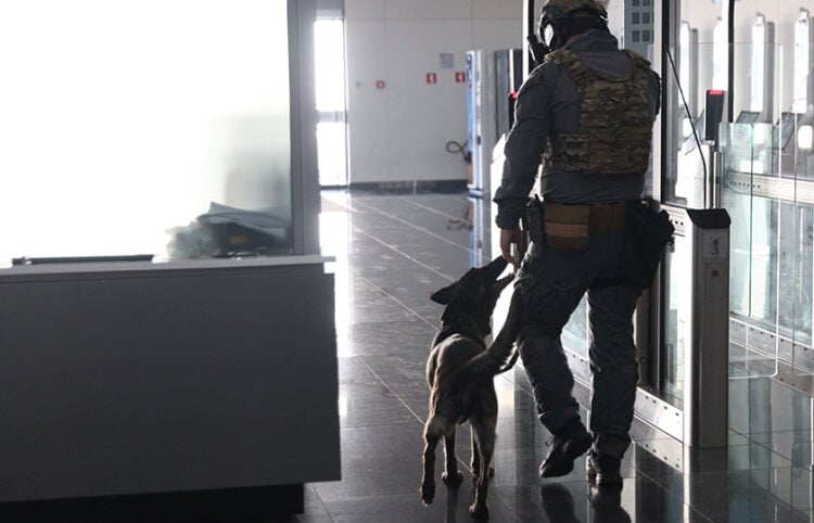 Στιγμιότυπο από άσκηση της Αντιτρομοκρατικής
(φωτ.: EUROKINISSI / Γιάννης Παναγόπουλος)