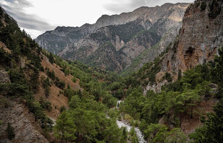 Άποψη από το φαράγγι της Σαμαριάς (φωτ.: Περιφέρεια Κρήτης)