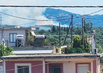 Καπνός από τη φωτιά στα Ζησιμαίικα Αχαΐας, Δευτέρα 15 Ιουνίου 2026 (φωτ.: Facebook / Fire & Weather Hellas / Βασίλης Καραπαπάς)