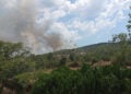 Καπνός από τη φωτιά στο Δερβένι Θεσσαλονίκης, όπως φαίνεται από τη Λητή (πηγή: Facebook / Πυρκαγιά Ενημέρωση)