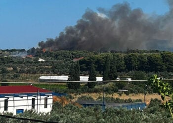 Καπνός από τη φωτιά στον Άγιο Δημήτριο Κορινθίας, Τρίτη 30 Ιουνίου 2026 (φωτ.: Facebook / Εποχικοί Πυροσβέστες)