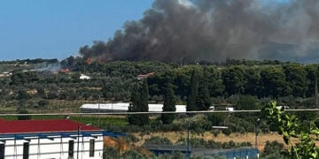 Καπνός από τη φωτιά στον Άγιο Δημήτριο Κορινθίας, Τρίτη 30 Ιουνίου 2026 (φωτ.: Facebook / Εποχικοί Πυροσβέστες)