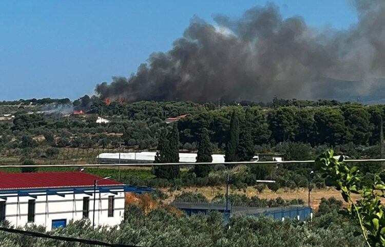 Καπνός από τη φωτιά στον Άγιο Δημήτριο Κορινθίας, Τρίτη 30 Ιουνίου 2026 (φωτ.: Facebook / Εποχικοί Πυροσβέστες)