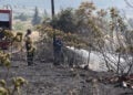 Πυροσβέστες επιχειρούν στην Πέτρα Βοιωτίας, Σάββατο 27 Ιουνίου 2026 (φωτ.: EUROKINISSI)