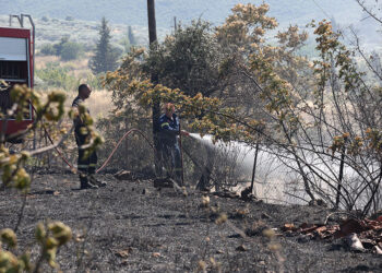 Πυροσβέστες επιχειρούν στην Πέτρα Βοιωτίας, Σάββατο 27 Ιουνίου 2026 (φωτ.: EUROKINISSI)