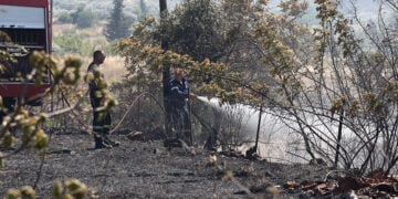 Πυροσβέστες επιχειρούν στην Πέτρα Βοιωτίας, Σάββατο 27 Ιουνίου 2026 (φωτ.: EUROKINISSI)
