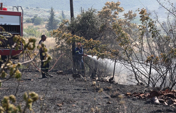 Πυροσβέστες επιχειρούν στην Πέτρα Βοιωτίας, Σάββατο 27 Ιουνίου 2026 (φωτ.: EUROKINISSI)