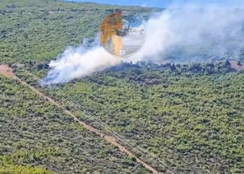 Δάσος καίει η φωτιά που ξέσπασε στον Άγιο Βασίλειο Θήβας. Σάββατο 27 Ιουνίου 2026 (φωτ.: Facebook / Εποχικοί Πυροσβέστες)