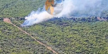 Δάσος καίει η φωτιά που ξέσπασε στον Άγιο Βασίλειο Θήβας. Σάββατο 27 Ιουνίου 2026 (φωτ.: Facebook / Εποχικοί Πυροσβέστες)