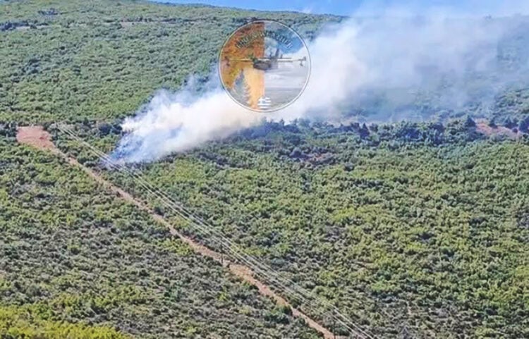 Δάσος καίει η φωτιά που ξέσπασε στον Άγιο Βασίλειο Θήβας. Σάββατο 27 Ιουνίου 2026 (φωτ.: Facebook / Εποχικοί Πυροσβέστες)
