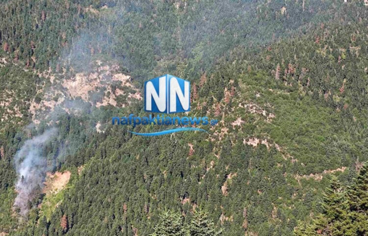 Καπνός από τη φωτιά στα Κρυονέρια του Δήμου Ναυπακτίας, Σάββατο 27 Ιουνίου 2026 (φωτ.: nafpaktianews.gr)