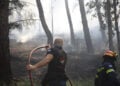 Πυροσβέστης και εθελοντής επιχειρούν μέσα σε δασική έκταση κοντά στο Λητή Ωραιοκάστρου. Τρίτη 30 Ιουνίου 2026 (φωτ.: EUROKINISSI / Βασίλης Βερβερίδης)