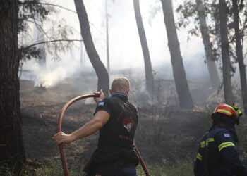Πυροσβέστης και εθελοντής επιχειρούν μέσα σε δασική έκταση κοντά στο Λητή Ωραιοκάστρου. Τρίτη 30 Ιουνίου 2026 (φωτ.: EUROKINISSI / Βασίλης Βερβερίδης)