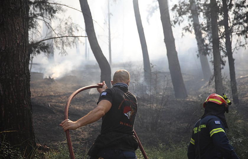 Πυροσβέστης και εθελοντής επιχειρούν μέσα σε δασική έκταση κοντά στο Λητή Ωραιοκάστρου. Τρίτη 30 Ιουνίου 2026 (φωτ.: EUROKINISSI / Βασίλης Βερβερίδης)