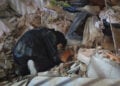 Άνθρωποι αναζητούν σημεία ζωής στα χαλάσματα (φωτ.: EPA / Rayner Pena)