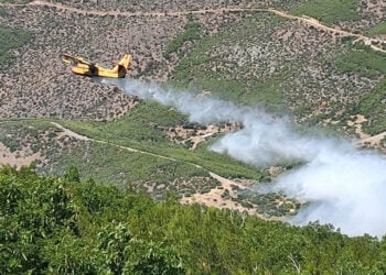 Πυροσβεστικό αεροσκάφος επιχειρεί στη Βοιωτία, Σάββατο 27 Ιουνίου 2026 (φωτ.: Facebook / E-sterea.gr)
