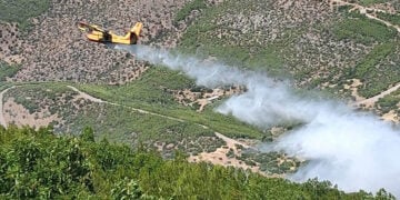 Πυροσβεστικό αεροσκάφος επιχειρεί στη Βοιωτία, Σάββατο 27 Ιουνίου 2026 (φωτ.: Facebook / E-sterea.gr)