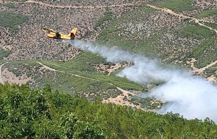 Πυροσβεστικό αεροσκάφος επιχειρεί στη Βοιωτία, Σάββατο 27 Ιουνίου 2026 (φωτ.: Facebook / E-sterea.gr)