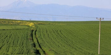 O Θεσσαλικός κάμπος
(φωτ.: EUROKINISSI)