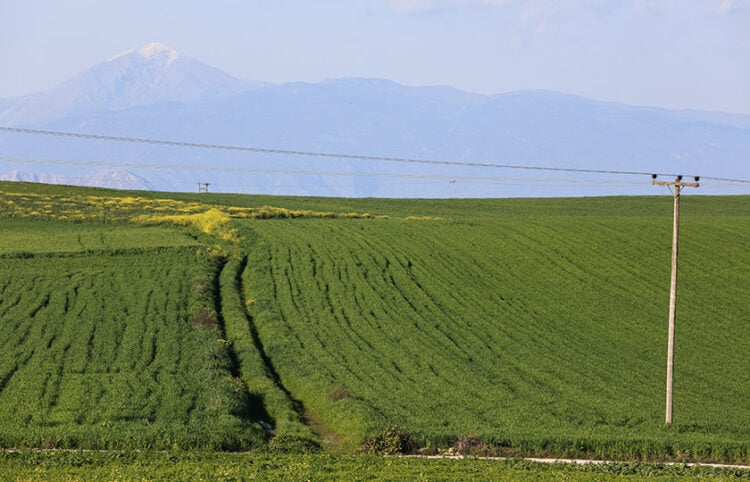 O Θεσσαλικός κάμπος
(φωτ.: EUROKINISSI)